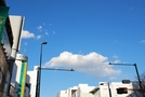 次の写真のサムネイル：青空のなかの雲
