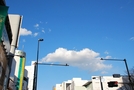 前の写真のサムネイル：青空のなかの雲